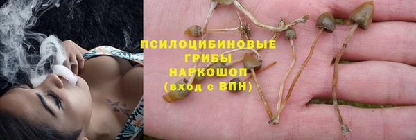 герыч Алексин