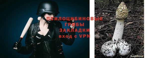 герыч Алексин