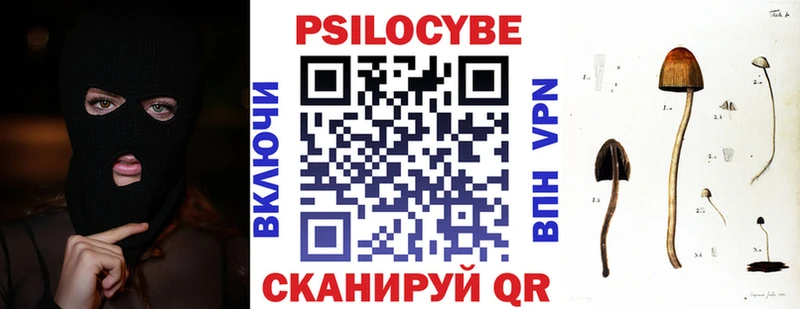 наркота  Новая Ляля  Псилоцибиновые грибы мицелий 